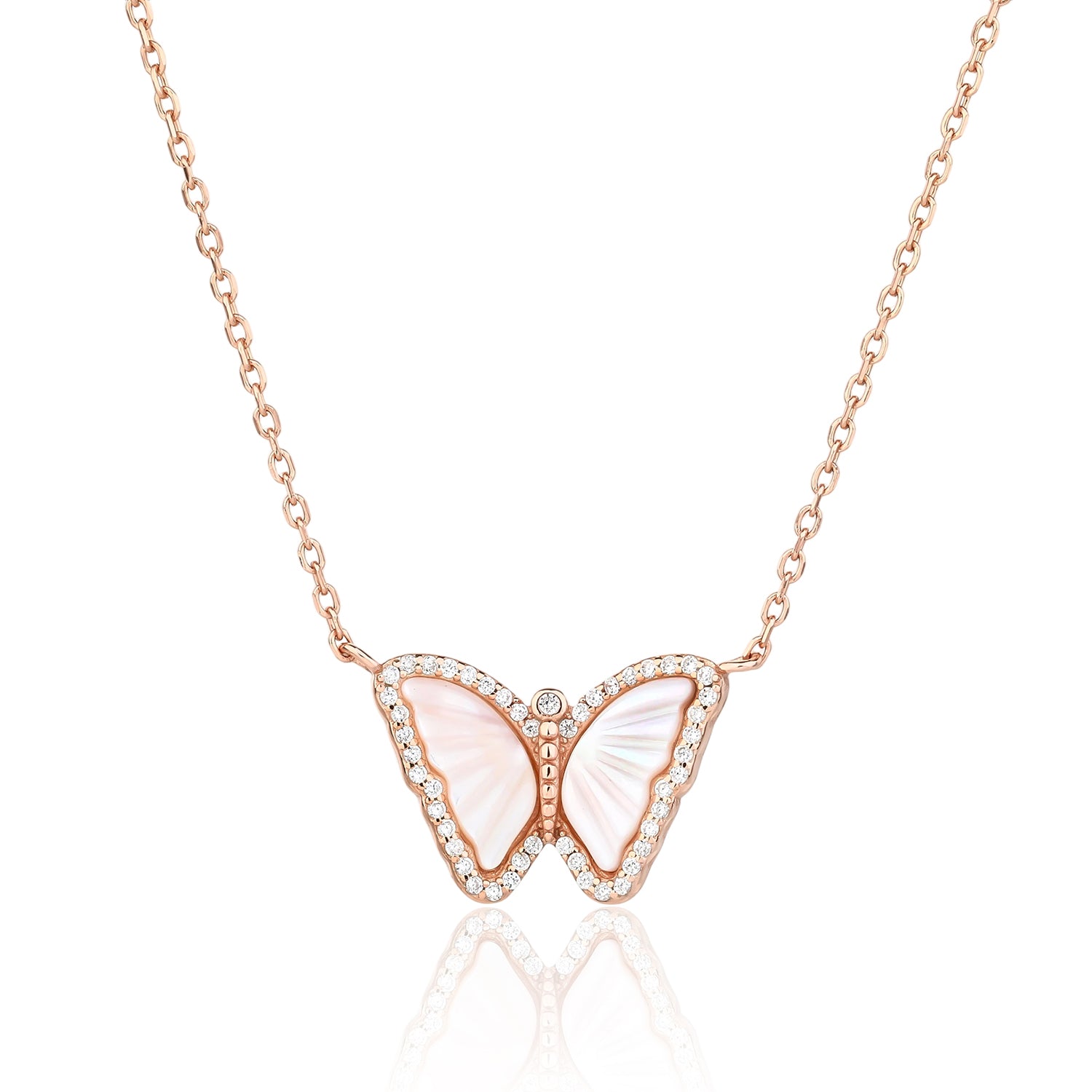 91d1770e-eaca-4d05-9673-6edb1e514d93